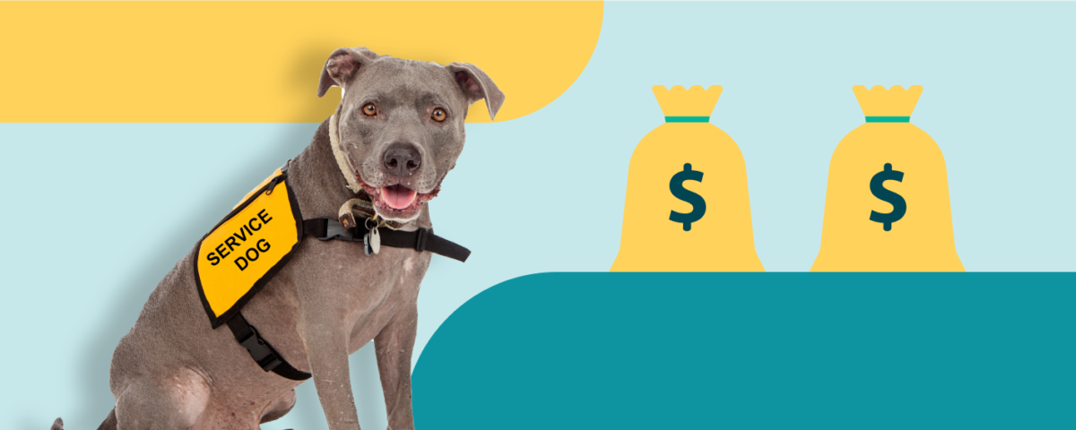 service-dog-loans-how-to-pay-for-a-service-dog-credible